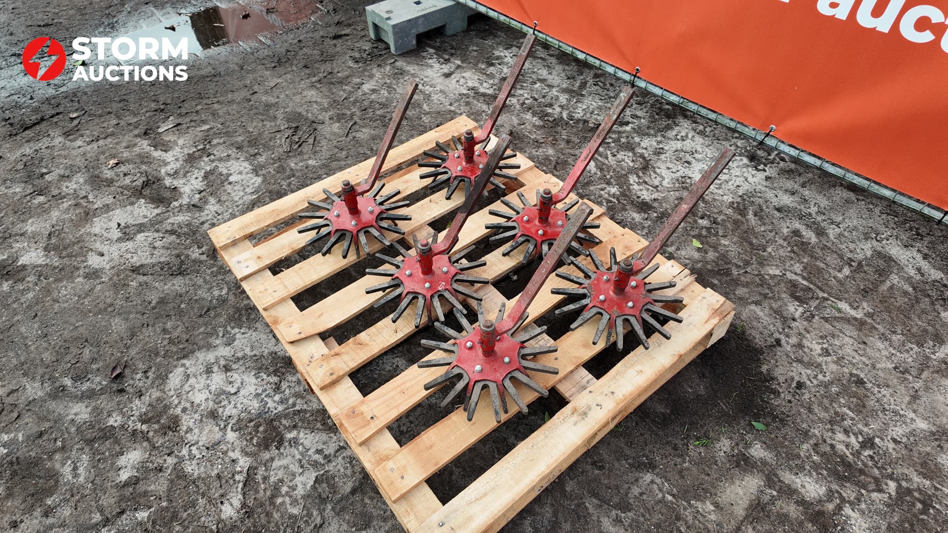 Steketee vingerwieder