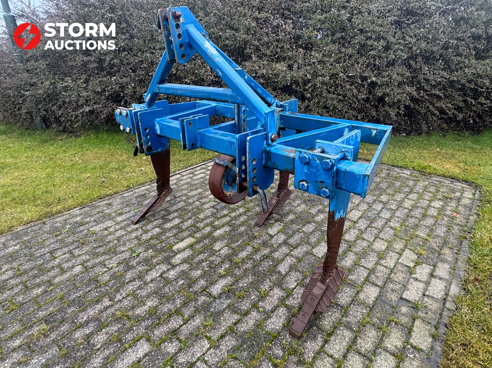 Magnifiek diepwoel 3 tand - Afbeelding 1