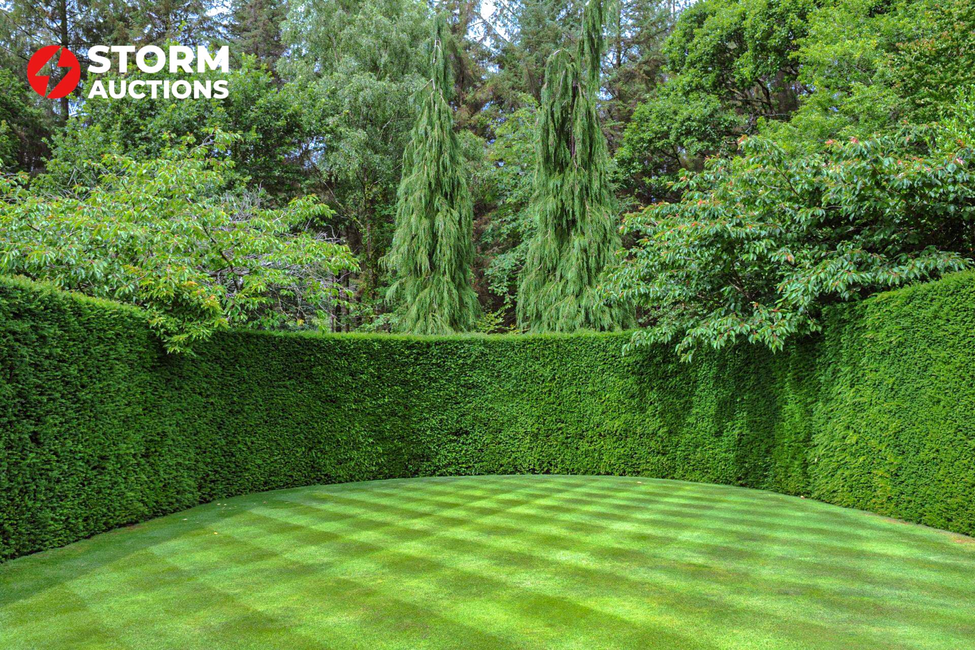 40x Taxus baccata 100-125 cm haagplant